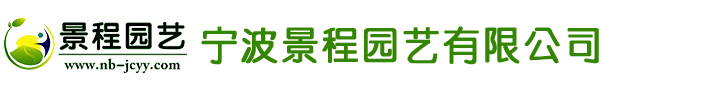 江蘇魯岳不銹鋼軸承制造有限公司